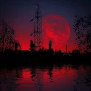 Meet your Posher, Athena